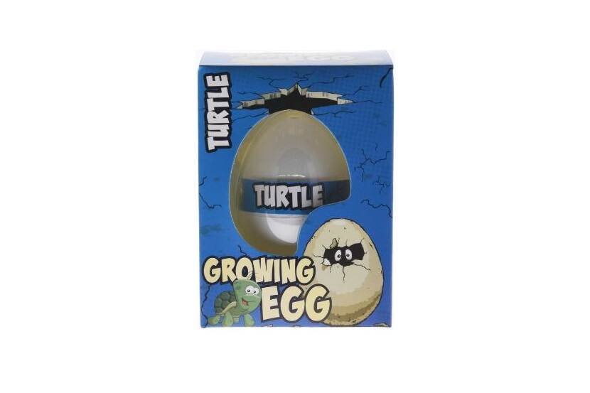 Veiligheidswaarschuwing Growing Egg Turtle Action